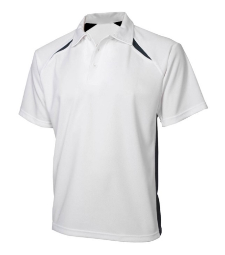 Picture of Biz Collection Mens Splice Polo Shirt 160gsm S/S