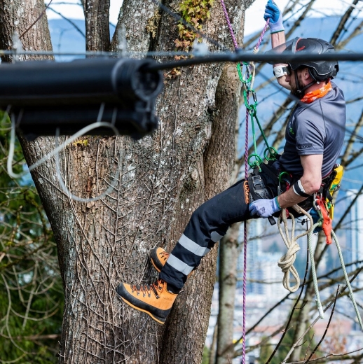 Picture of CLOGGER Arcmax Gen3 Arc Rated Stretch FR Men's Chainsaw Trousers