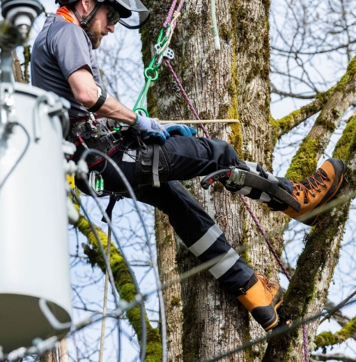 Picture of CLOGGER Arcmax Gen3 Arc Rated Stretch FR Men's Chainsaw Trousers