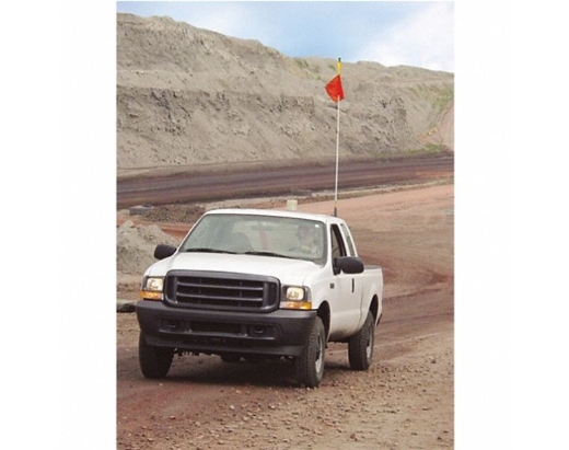 Picture of Checkers 2.5M (8FT) FLAGSTAFF/9025 FLAG/ NO LAMP SOCKET