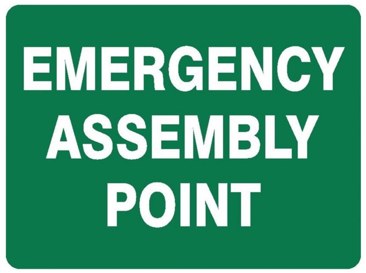 Picture of SIGN Emergency Assembly Point 600 x 450mm 1.4mm Polypropylene