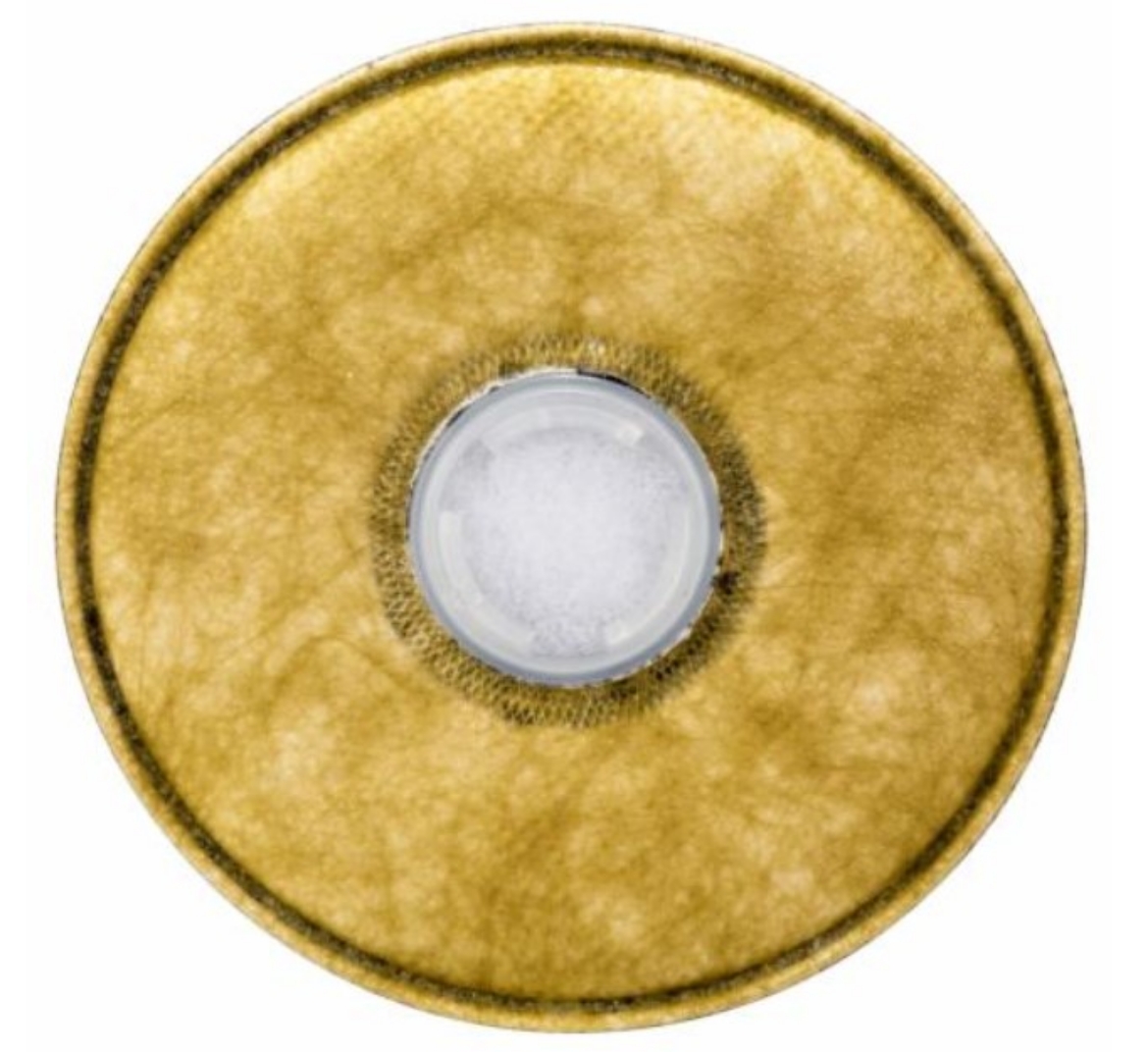 Picture of 3M™ Particulate Cartridge 2076HF, Hydrogen Fluoride with Nuisance Level Acid Gas Relief > 70070757912