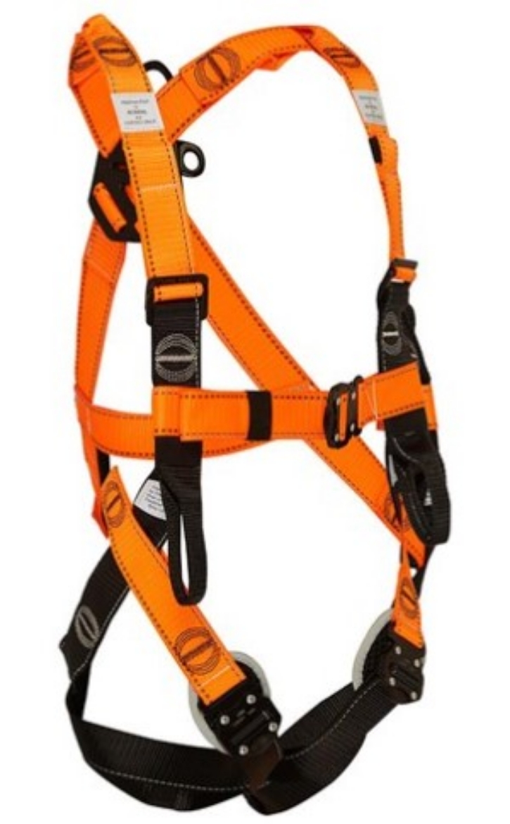 Picture of LINQ Essential Harness with Quick Release Buckle - Standard M - L