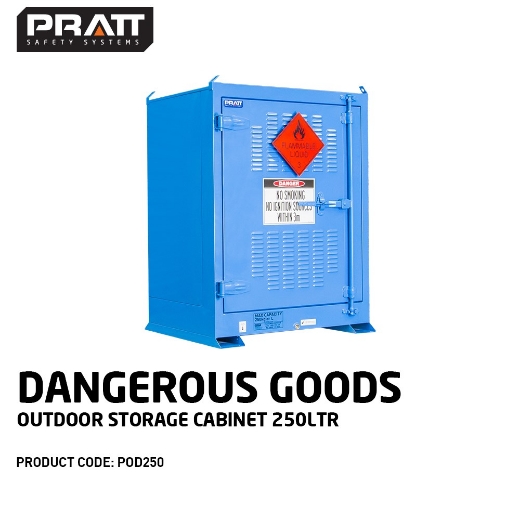 Picture of Pratt 250L Outdoor dangerous goods Storage Cabinet.