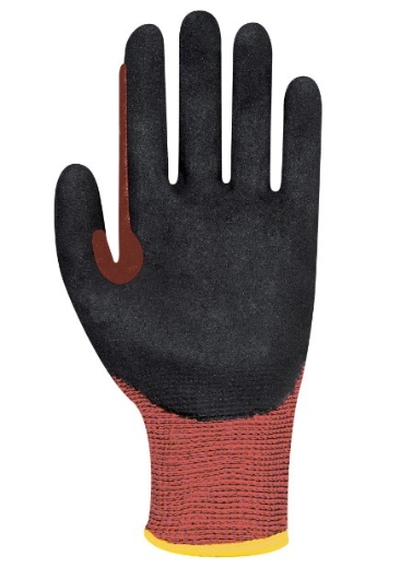 Picture of Graphex®  Beyond Glove (Cut Level F)