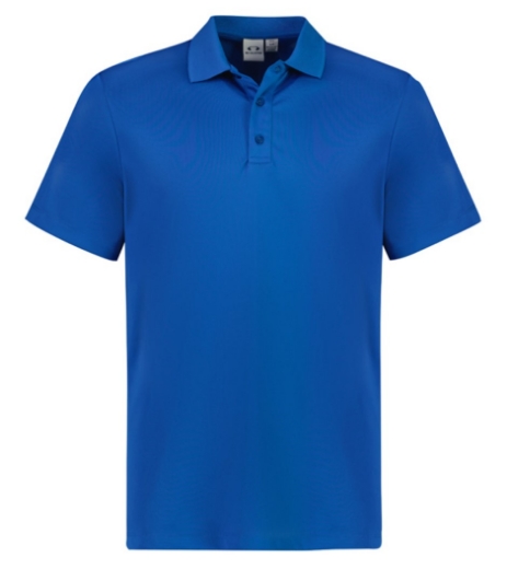 Picture of Biz Collection Mens Action Polo Short Sleeve Shirt 155gsm