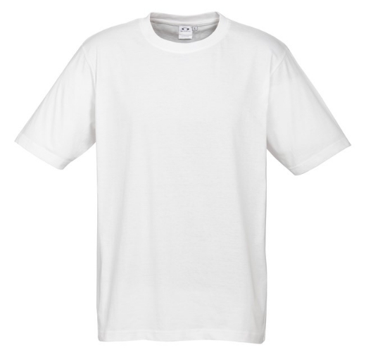 Picture of Biz Collection Mens Ice T-Shirt 100% Premium Combed Cotton 185gsm